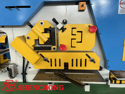 combined punching and shearing machine